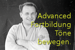 Musikundfeldenkrais Berlin Michalek:  Advanced Fortbildung - Töne bewegen.
